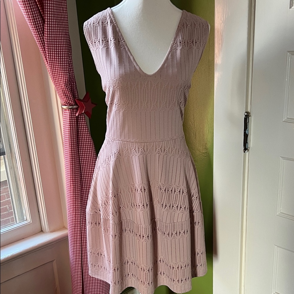 BCBGMaxAzria Blush Pink Lace Mini Dress